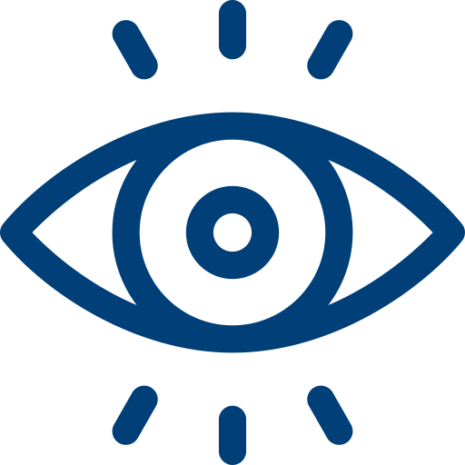 Vision Icon